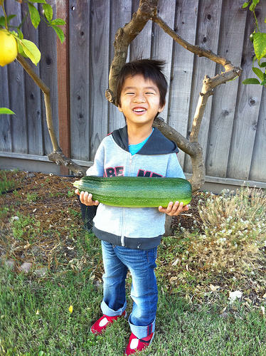 zucchinis and kids photo