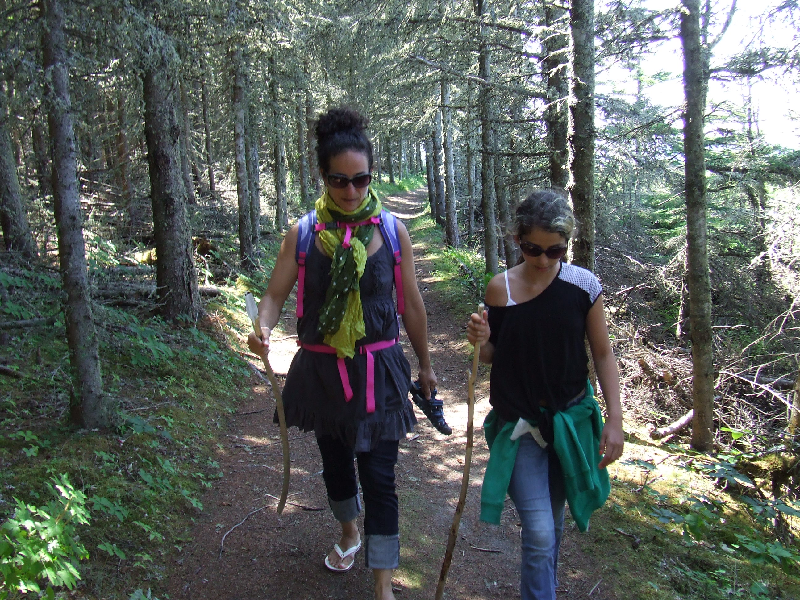 marche en forêt