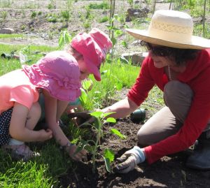 2) Persévérance et sens de l'effort 2) Persévérance et sens de l'effort