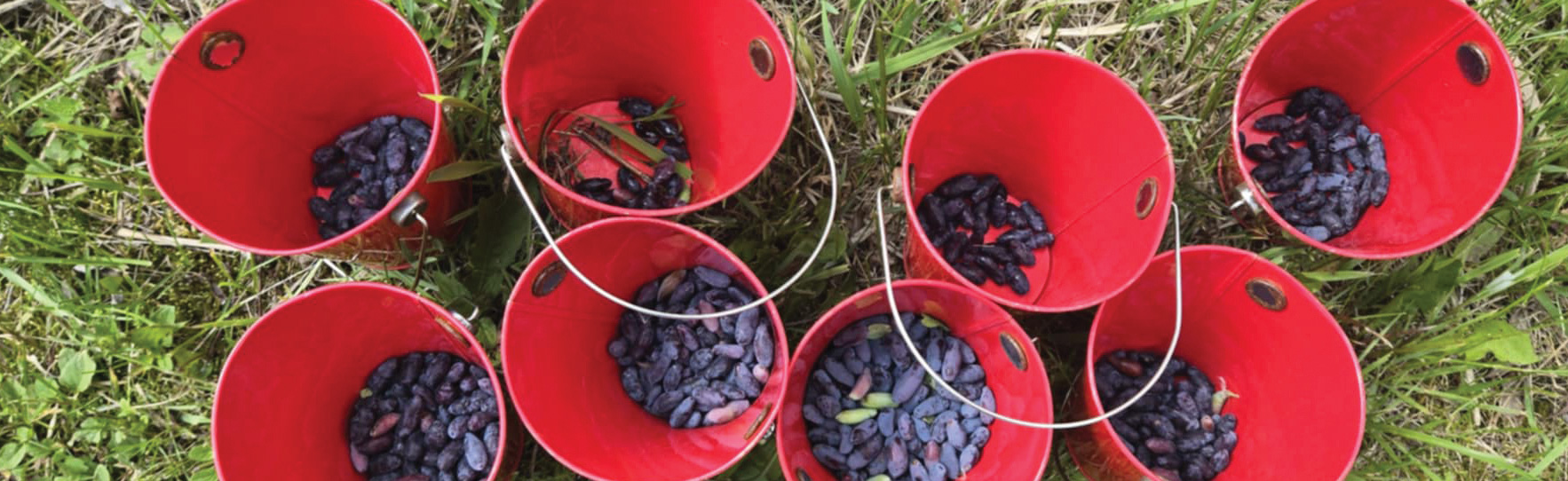 Entête Alimentation