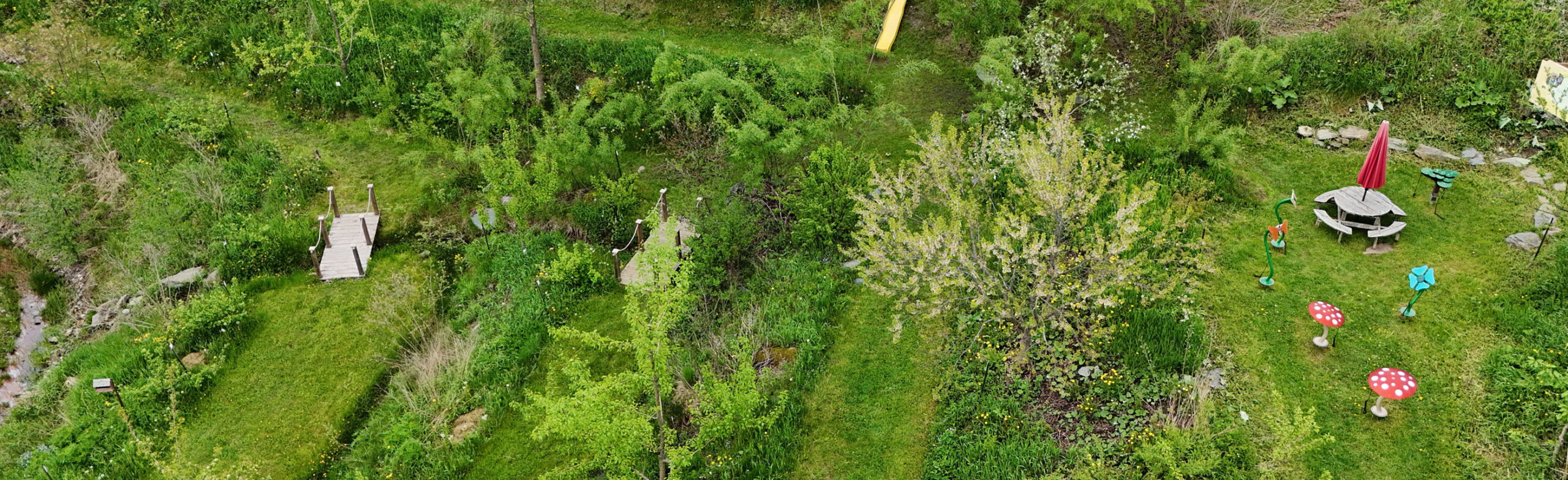 Entete - Mot de la direction