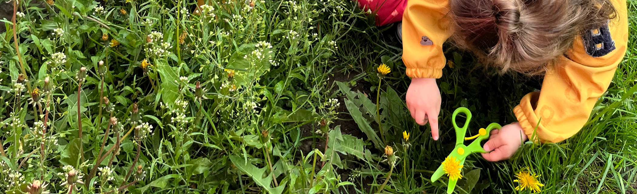 Entête Témoignages